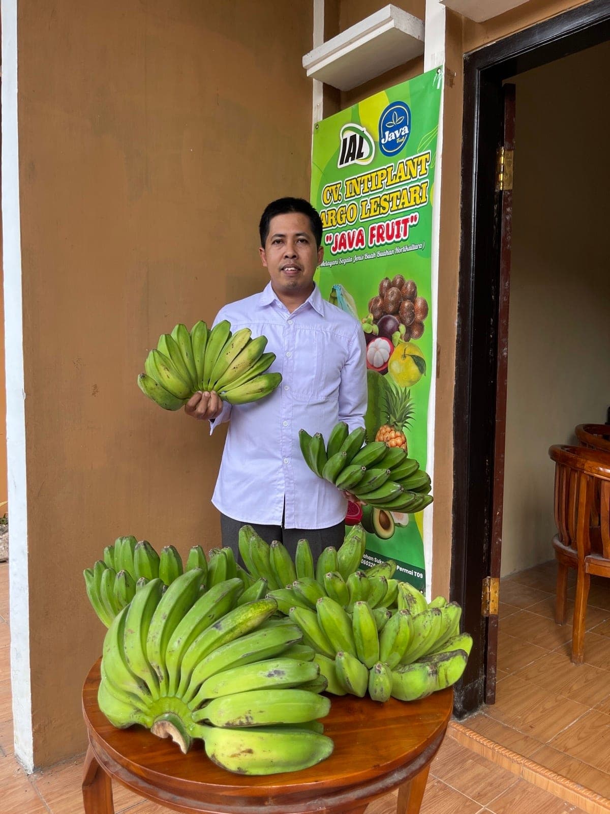 Petani mitra Java Fruit memegang pisang Kepok dan Cavendish segar di depan banner CV Intiplant Agro Lestari